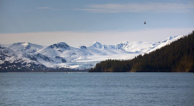 alaska Alaska фото превью
