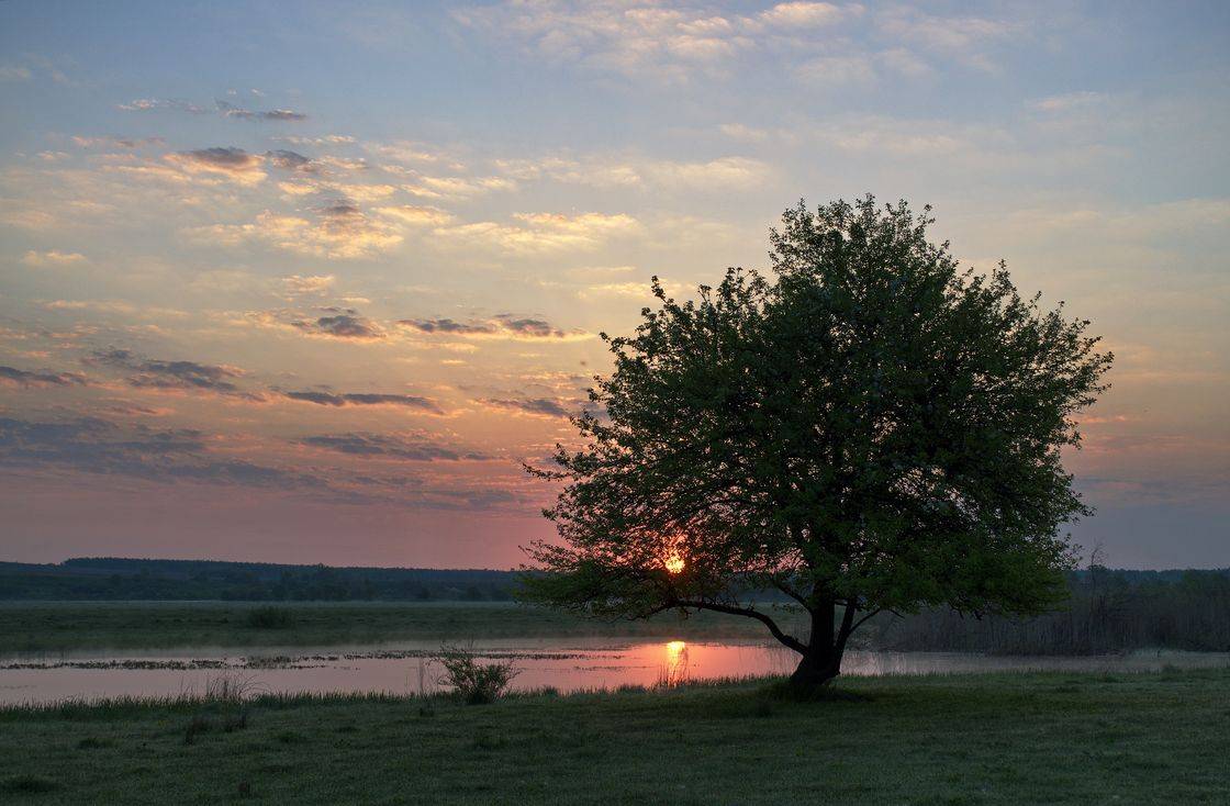, Володимир Карчевський