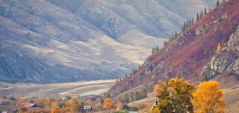 алтай, вечер, горы *** фото превью