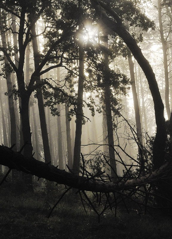 Улыбка Циклопа фото превью