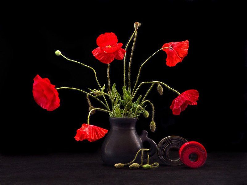 цветы, маки, керамика, ваза, ленты Маковый фото превью