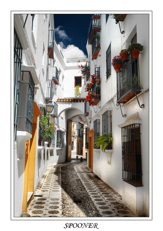 * * * фото превью