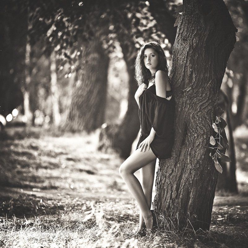 *** фото превью