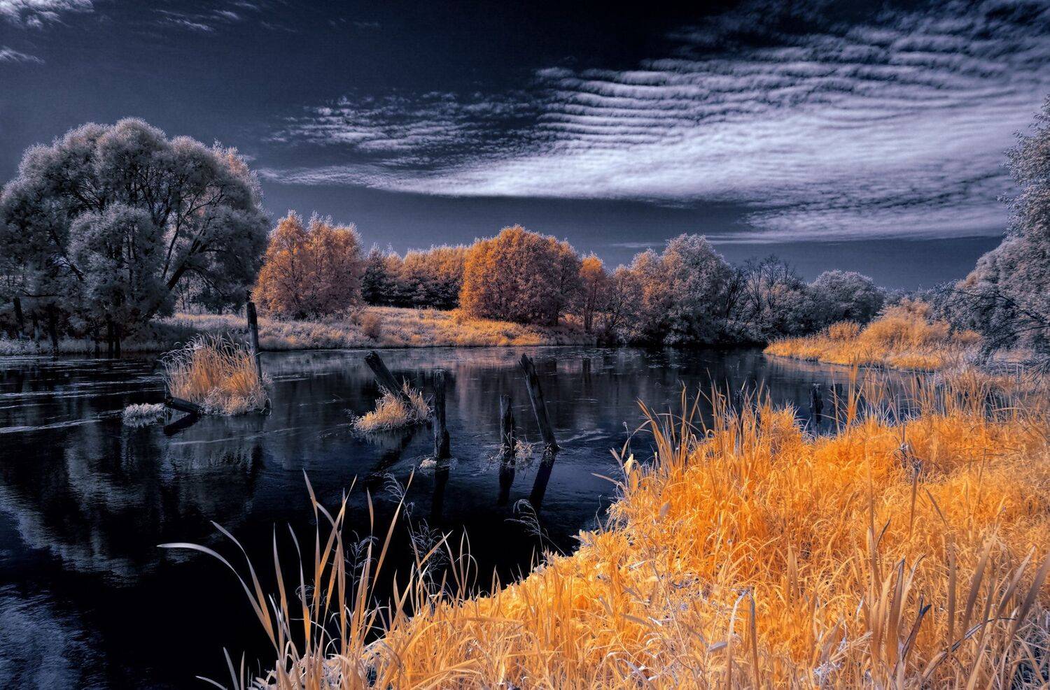 infrared,ик-фото,инфракрасное фото, инфракрасная фотография, пейзаж, лето, Sixten ( Сергей )