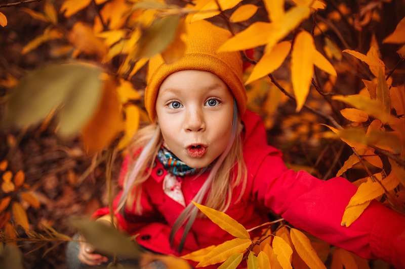 девочка, портрет, осень, листья, оранжевый, желтый, глаза  фото превью