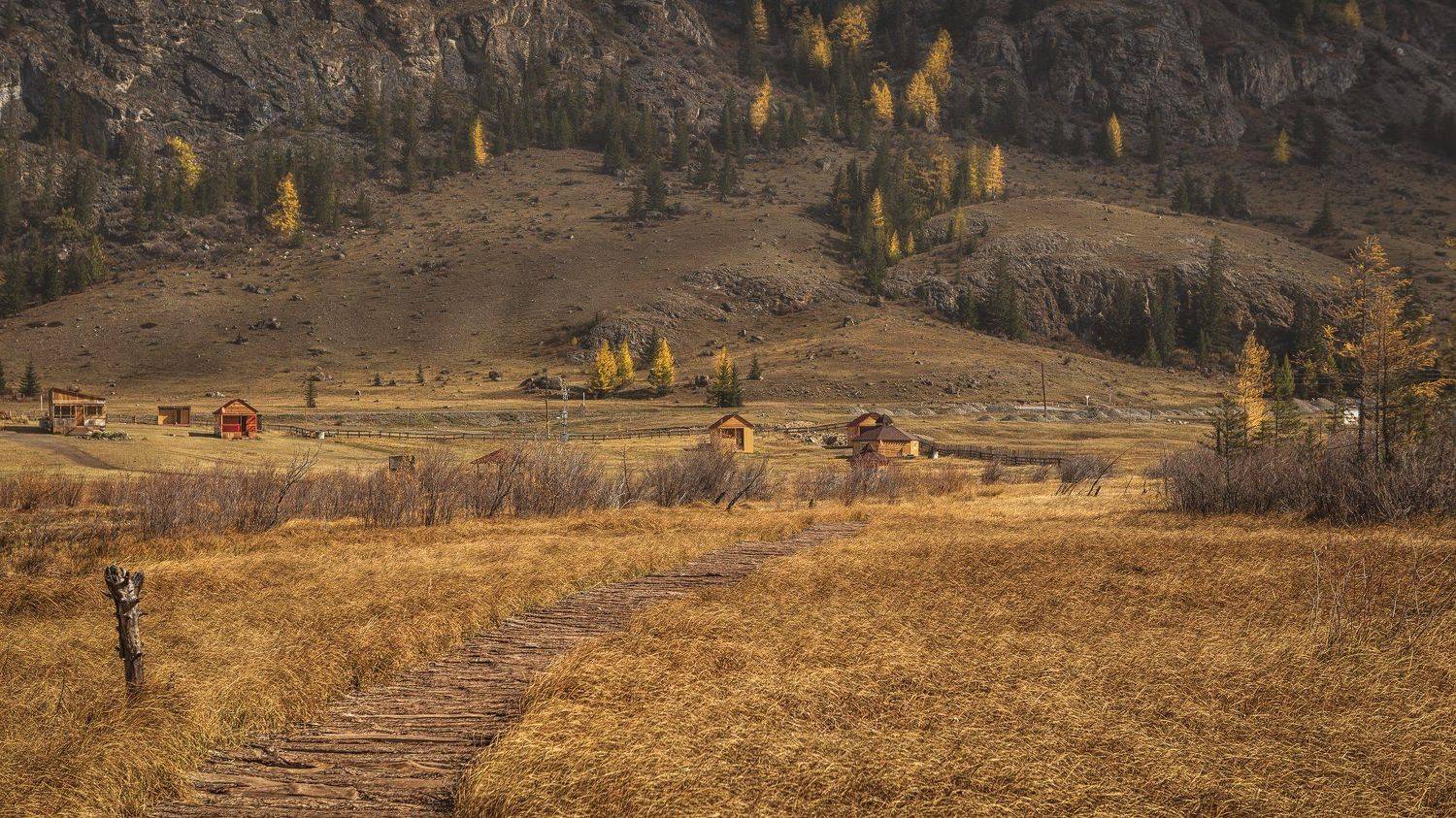 алтай, Дмитрий Антропов