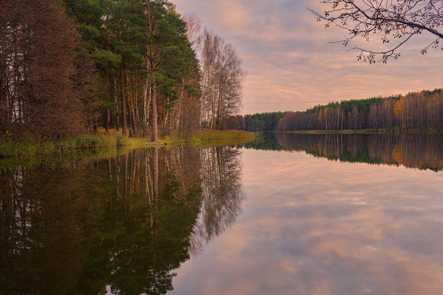 осень, озеро, отражение, лес, Григорий Бельцев