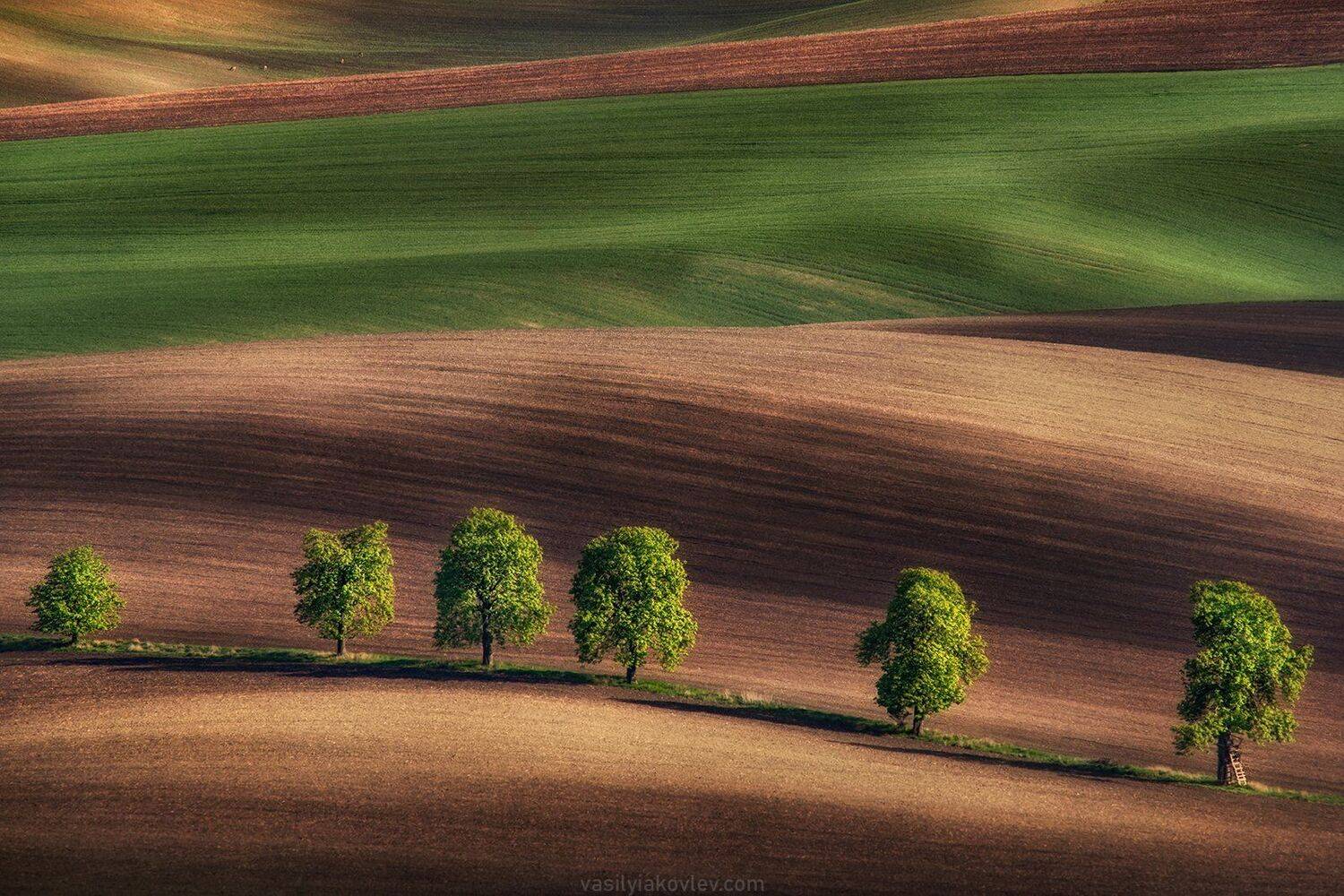 чехия, моравия, Василий Яковлев