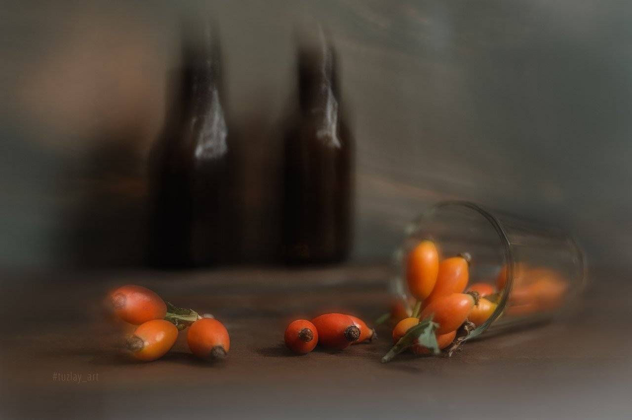 шиповник, стакан, софт фокус, абстракция, Владимир Тузлай