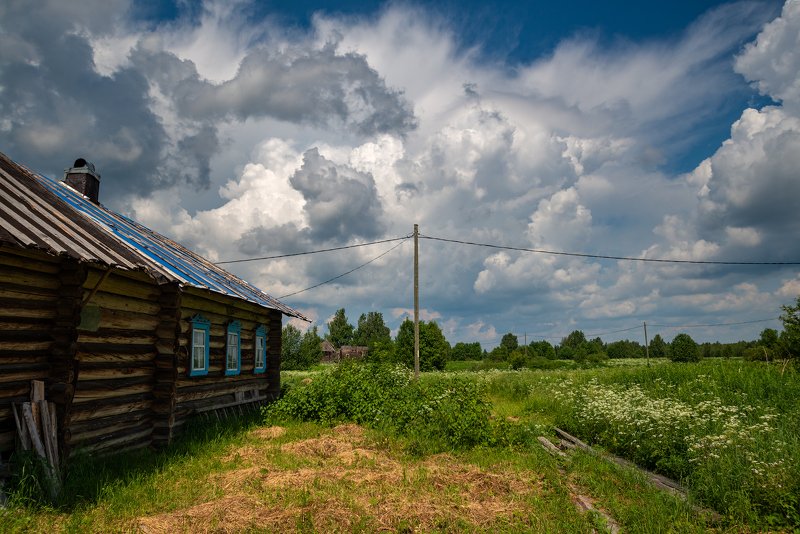 великий двор,вологодчина,кема,север,лето, Июнь. фото превью