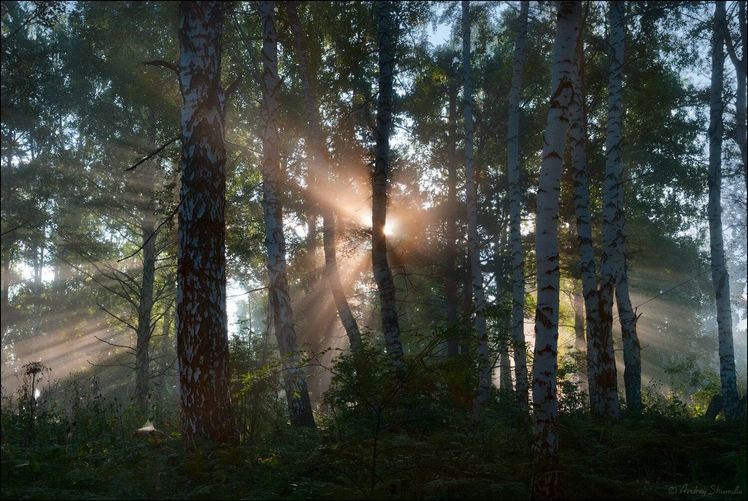 , Андрей Шумилин