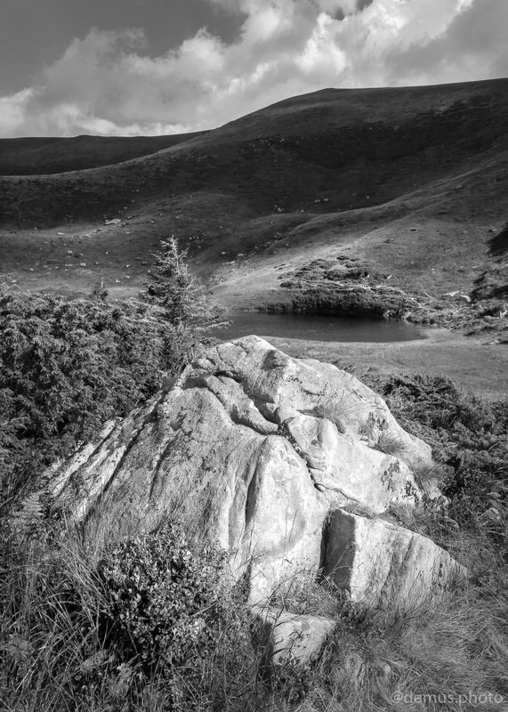 чб, черно белый, монохром, пейзаж, озеро, камень, Карпаты, лето Озеро Апшинец. Карпаты. фото превью