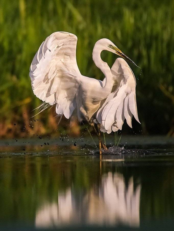 , Вячеслав Мищенко