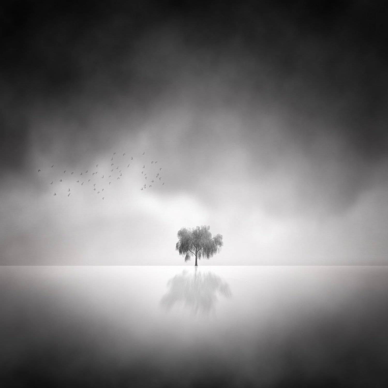 Fine Art , Shervin Khan Mohammadi