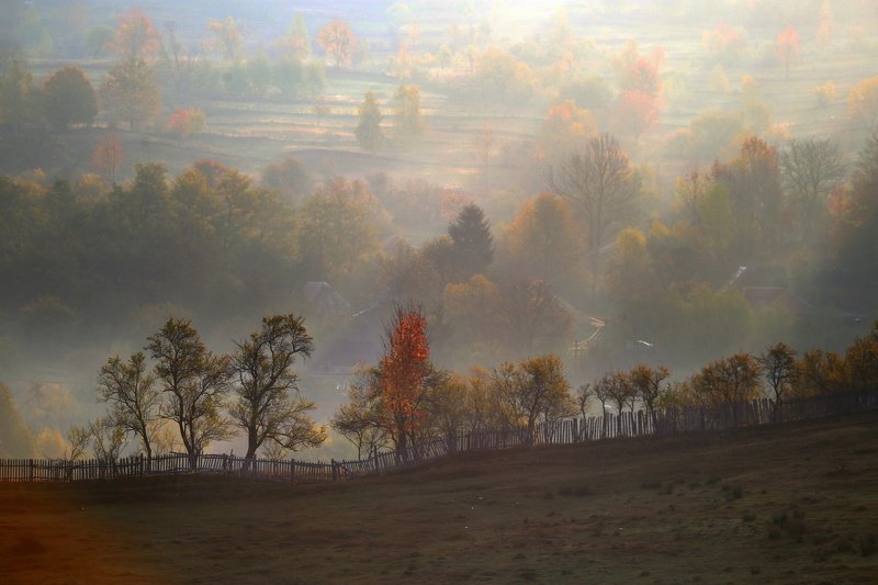 Romania фото превью