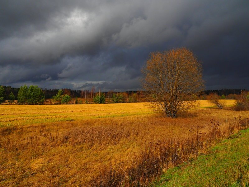 Хороший день. фото превью