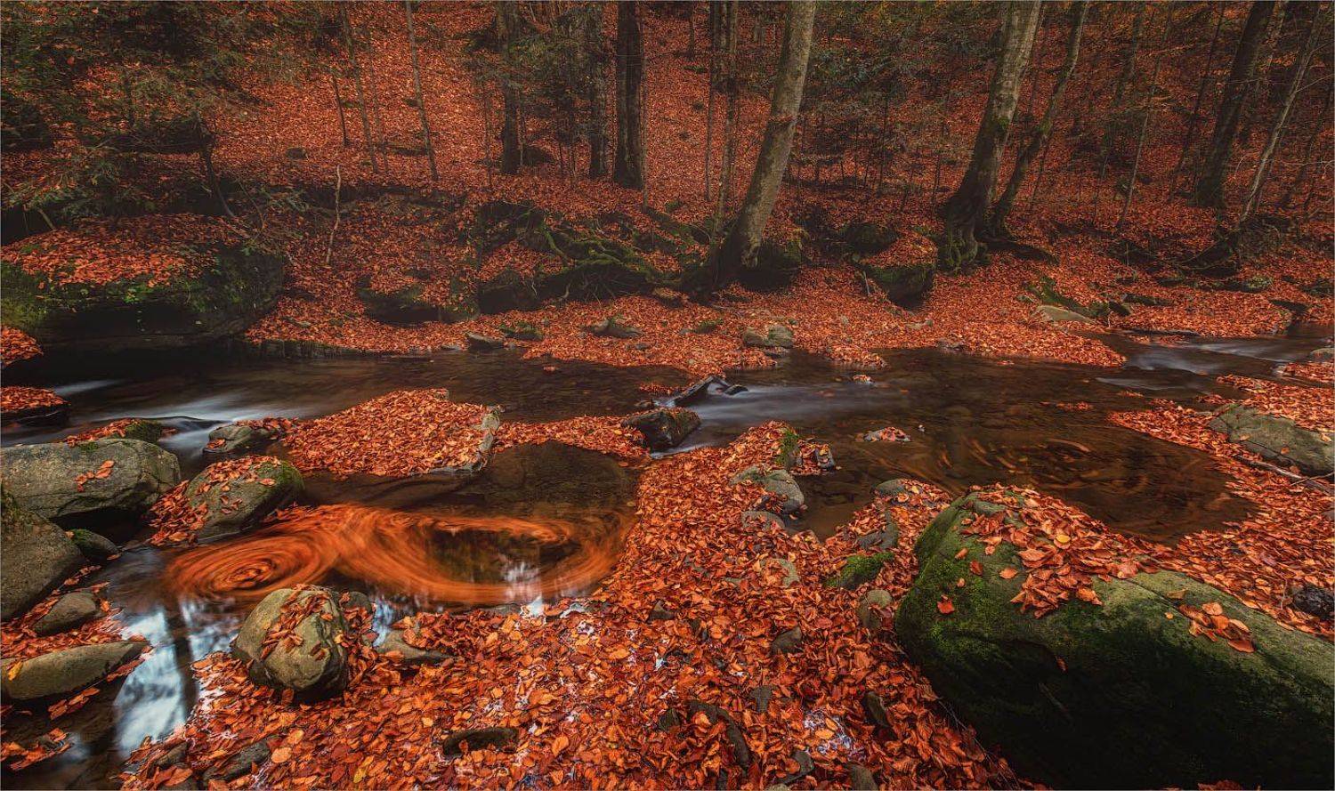 , Рудченко Анатолий