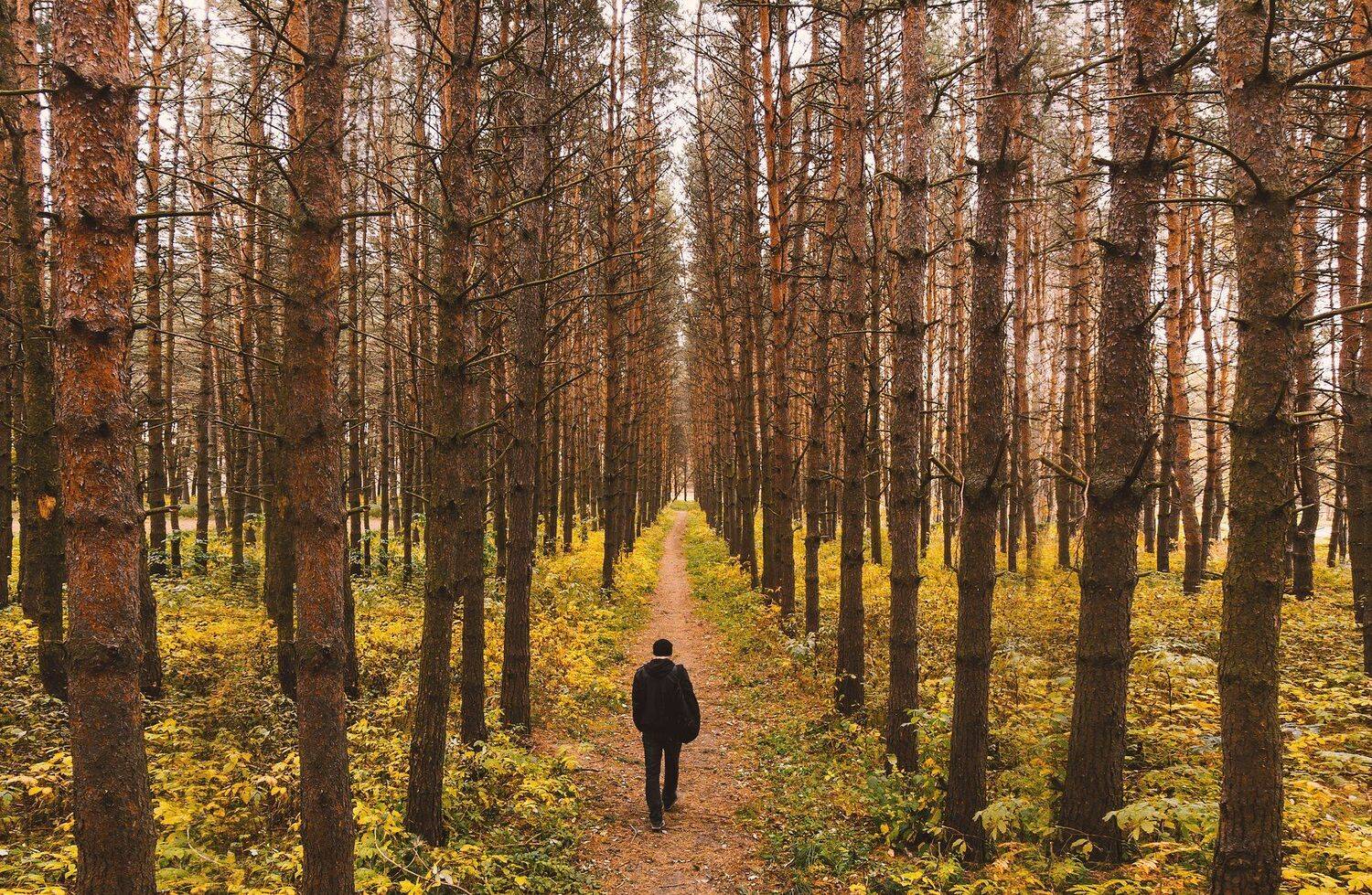 Город,абстрактно,креативно,улица,ночная улица,ночь,ночное креативное,креатив,заброшка,zapworld,завод,шар,индастриал,фото,Беларусь,новополоцк,Пейзаж, природный, небо, лес, краски, берег, вода, водоем, пруд, озеро, гладь, камыш, тростник, трава, отражение, , Sergey Shevtsov