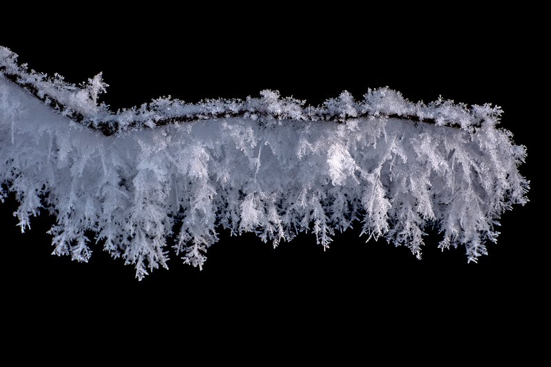 мороз,иней,снег,зима,макро заросли инея фото превью