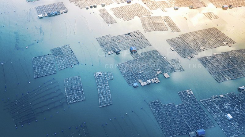 Море дома фото превью