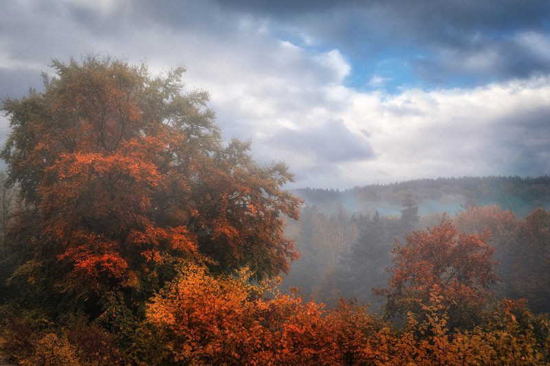 * фото превью