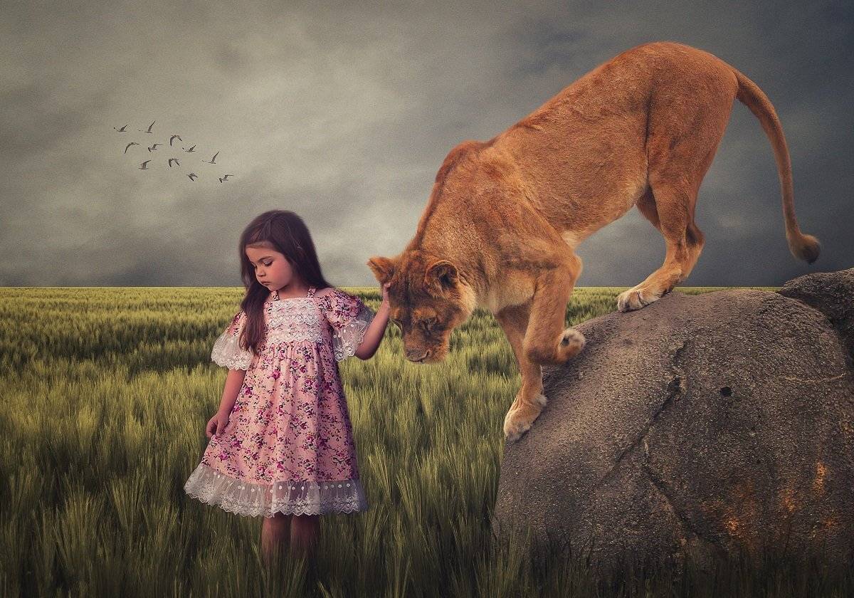 девочка, львица, поле, Sergii Vidov