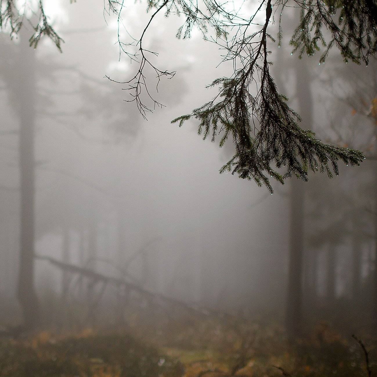 южный, урал, долгие горы, орск, новотроицк башкирия талкас, Качурин Алексей