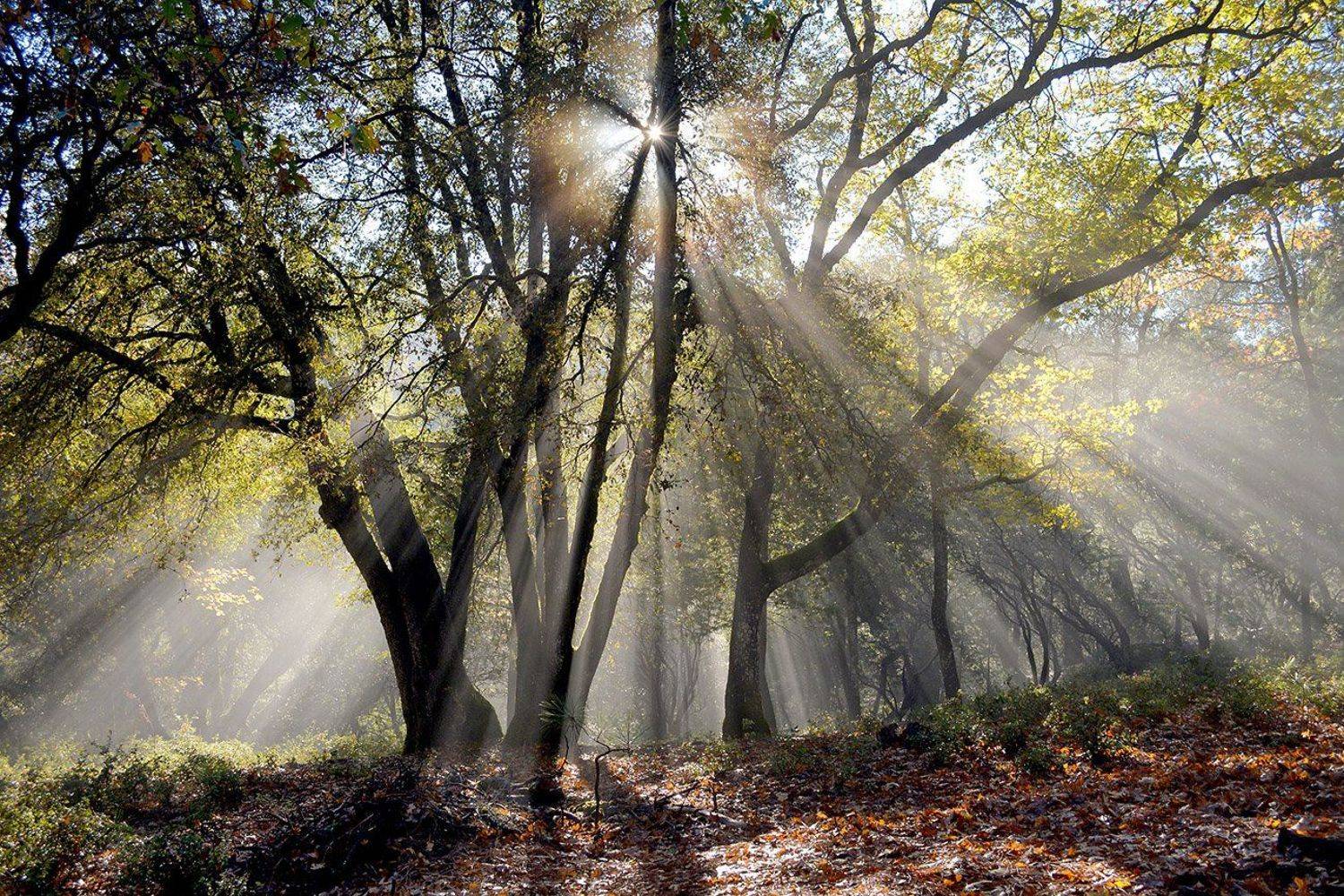 южный, урал, долгие горы, орск, новотроицк башкирия талкас, Качурин Алексей
