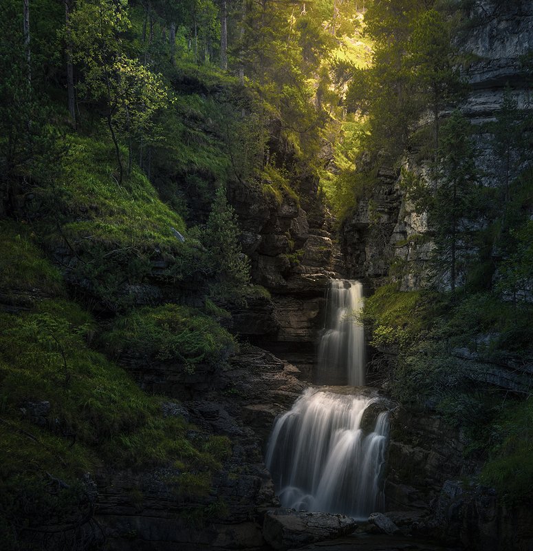 Hidden in Greenery фото превью