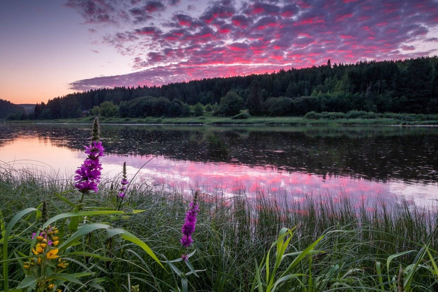 закат, лето, река, урал, Савицкий Ян