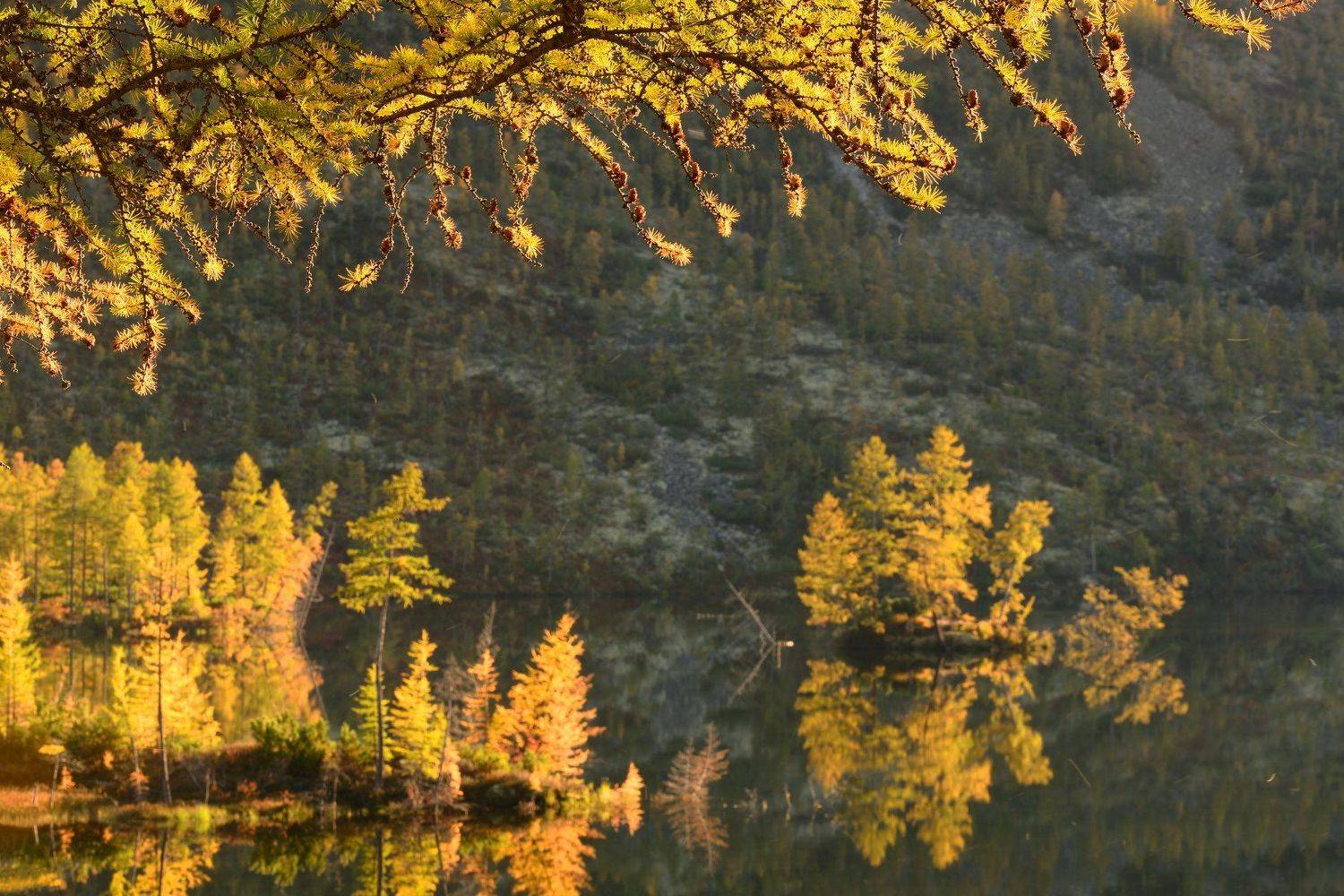 , Максим Евдокимов (phototourtravel.ru)