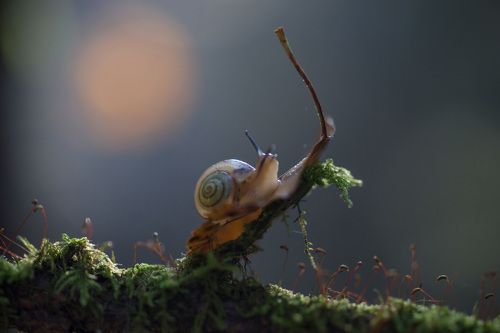 Прогулки в лунную ночь...