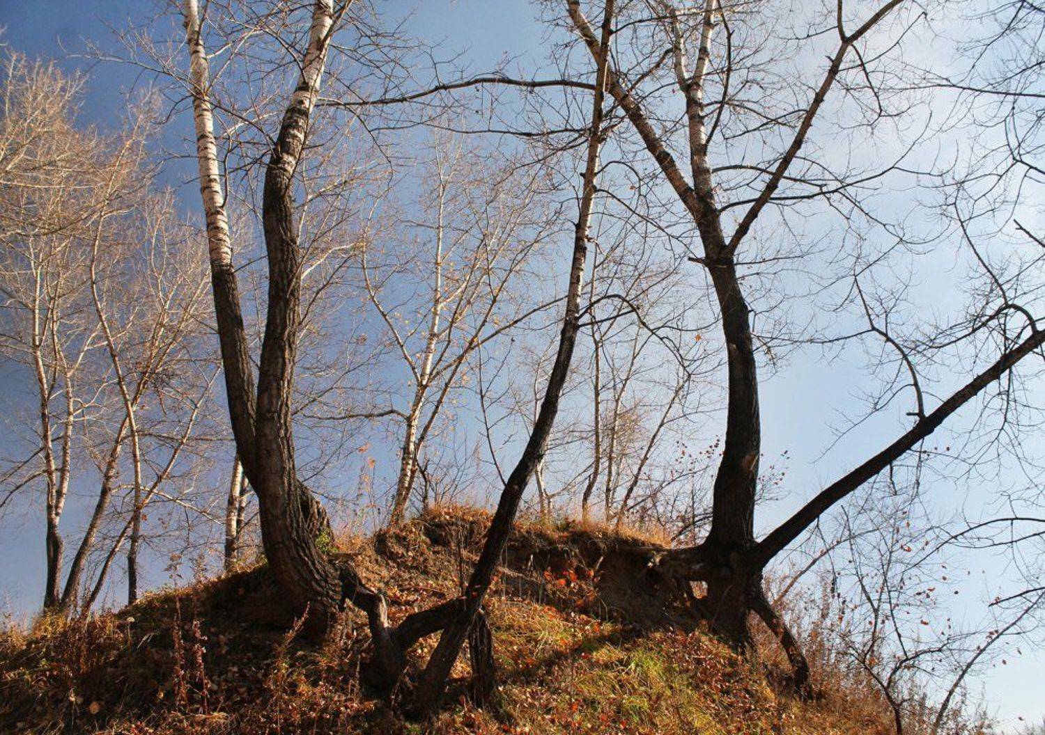 осень, октябрь, Курочкина Диана