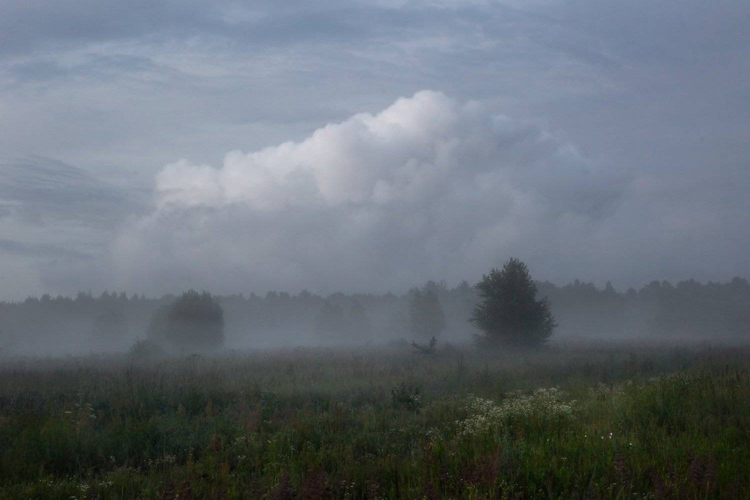 вечер туман околица, Дмитрий Алексеев
