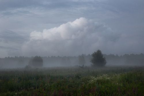Время созерцания