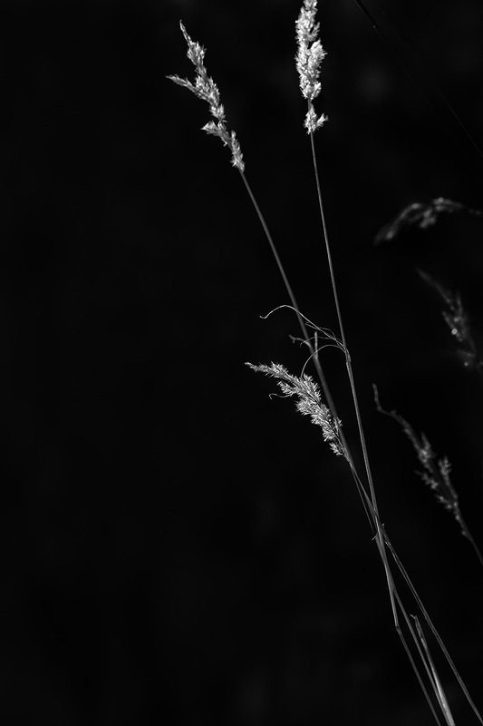 Осеннее фото превью