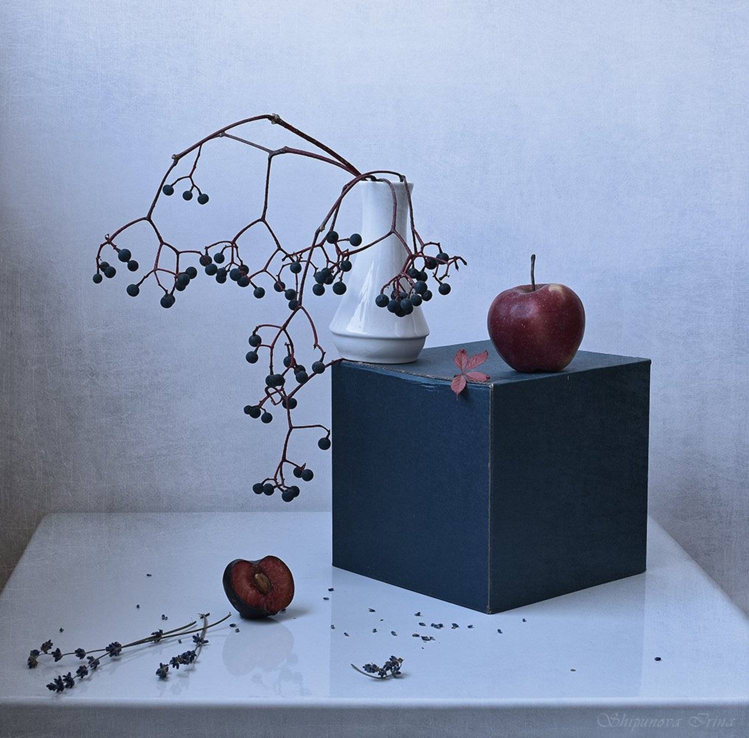 , Шипунова Ирина