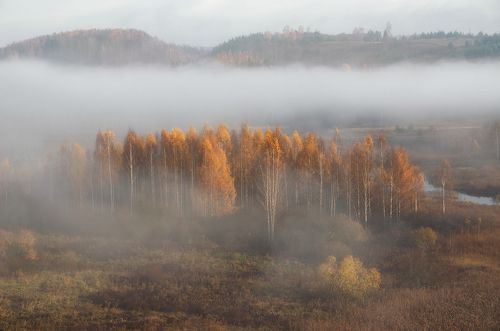 Золотая осень