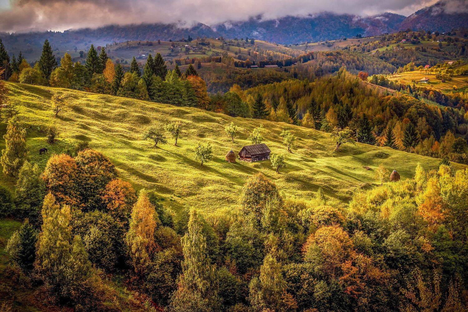 , Елена Маковоз