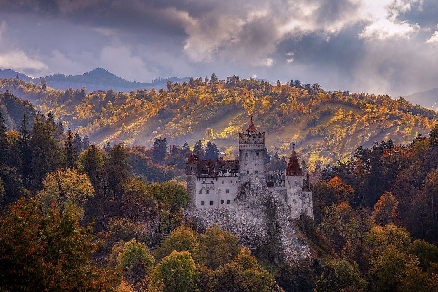 , Елена Маковоз