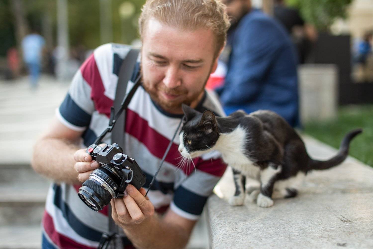 , Денис Свечников