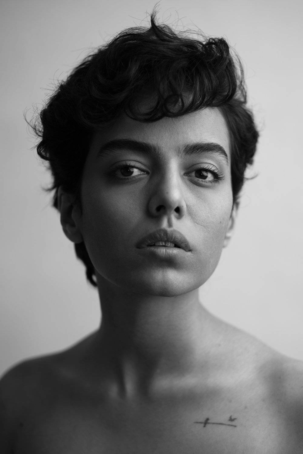 , Hamidreza Sheikhmorteza