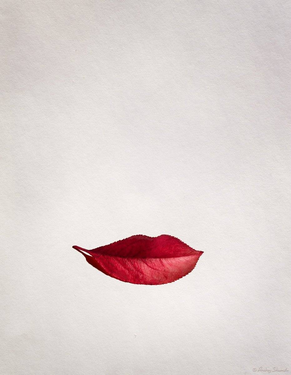 , Андрей Шумилин