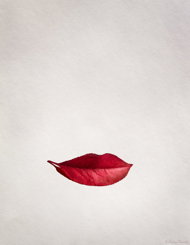 Красотка Осень фото превью