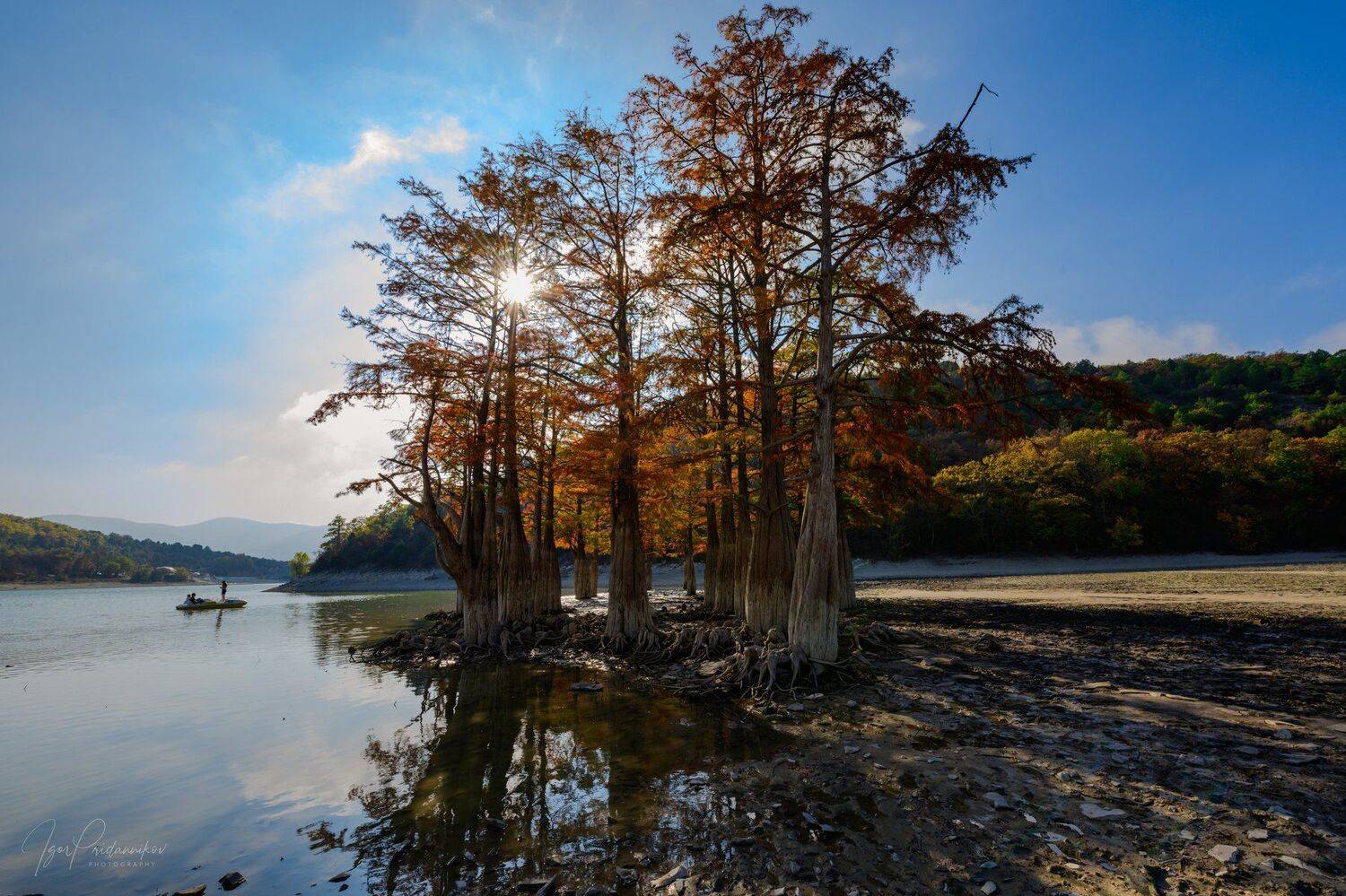 , Игорь Приданников