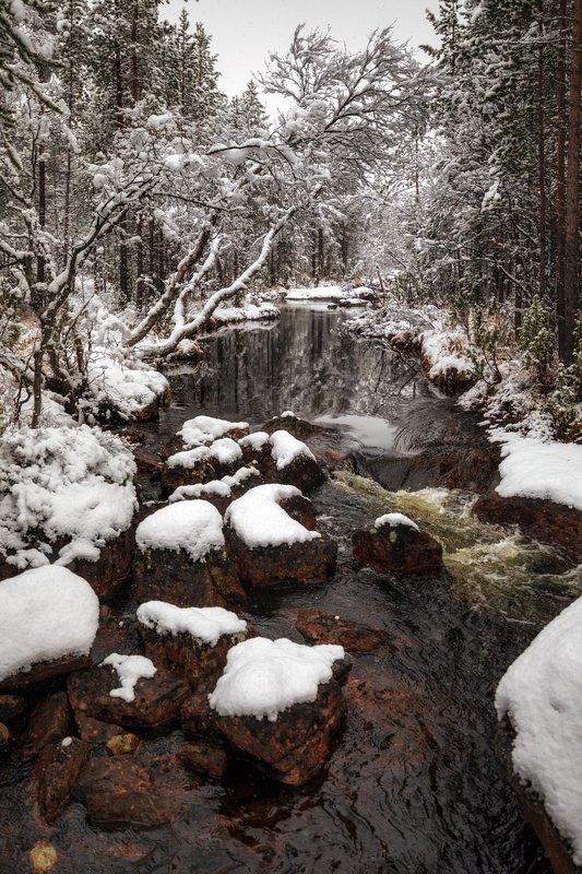 ** фото превью