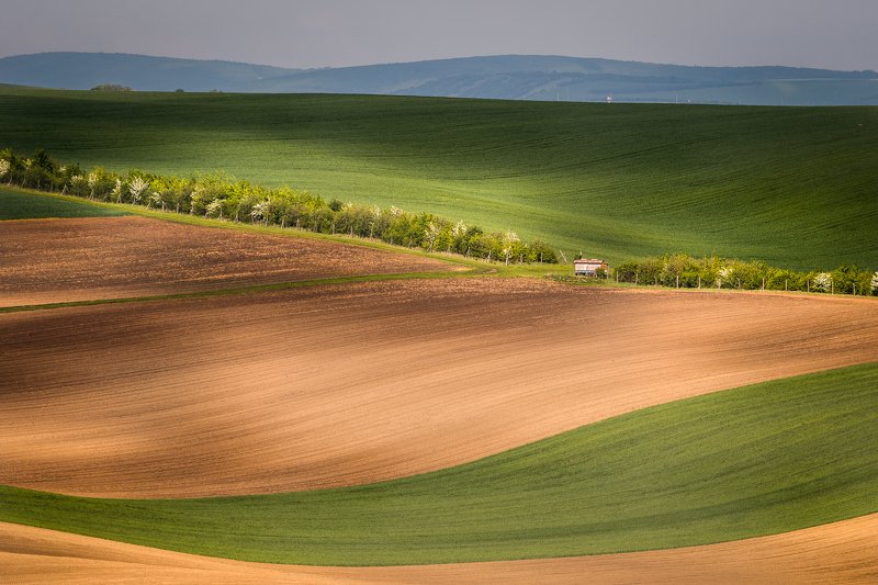 south moravia, czech republic, sunrise, fields, hills, shadows, journey, travel Моравские дни фото превью