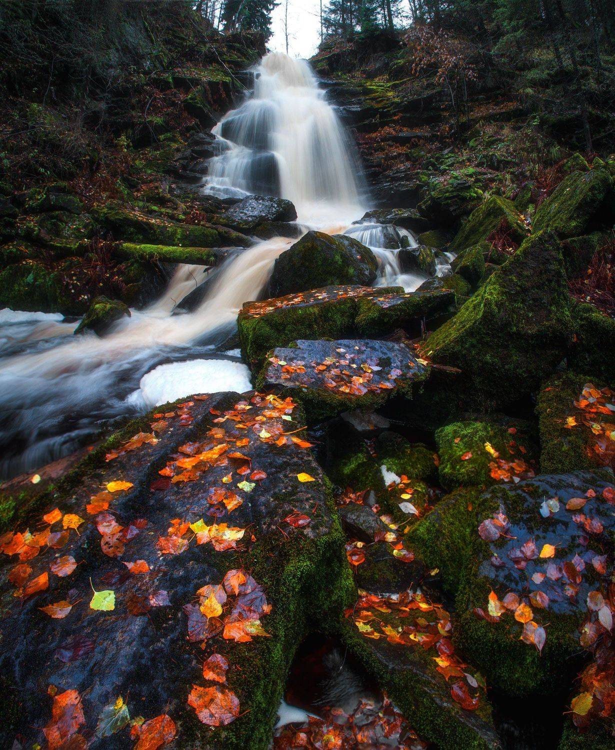 , Юрий Столыпин