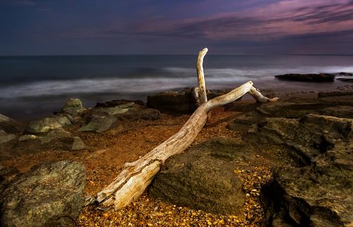 Каспийское море и коряга