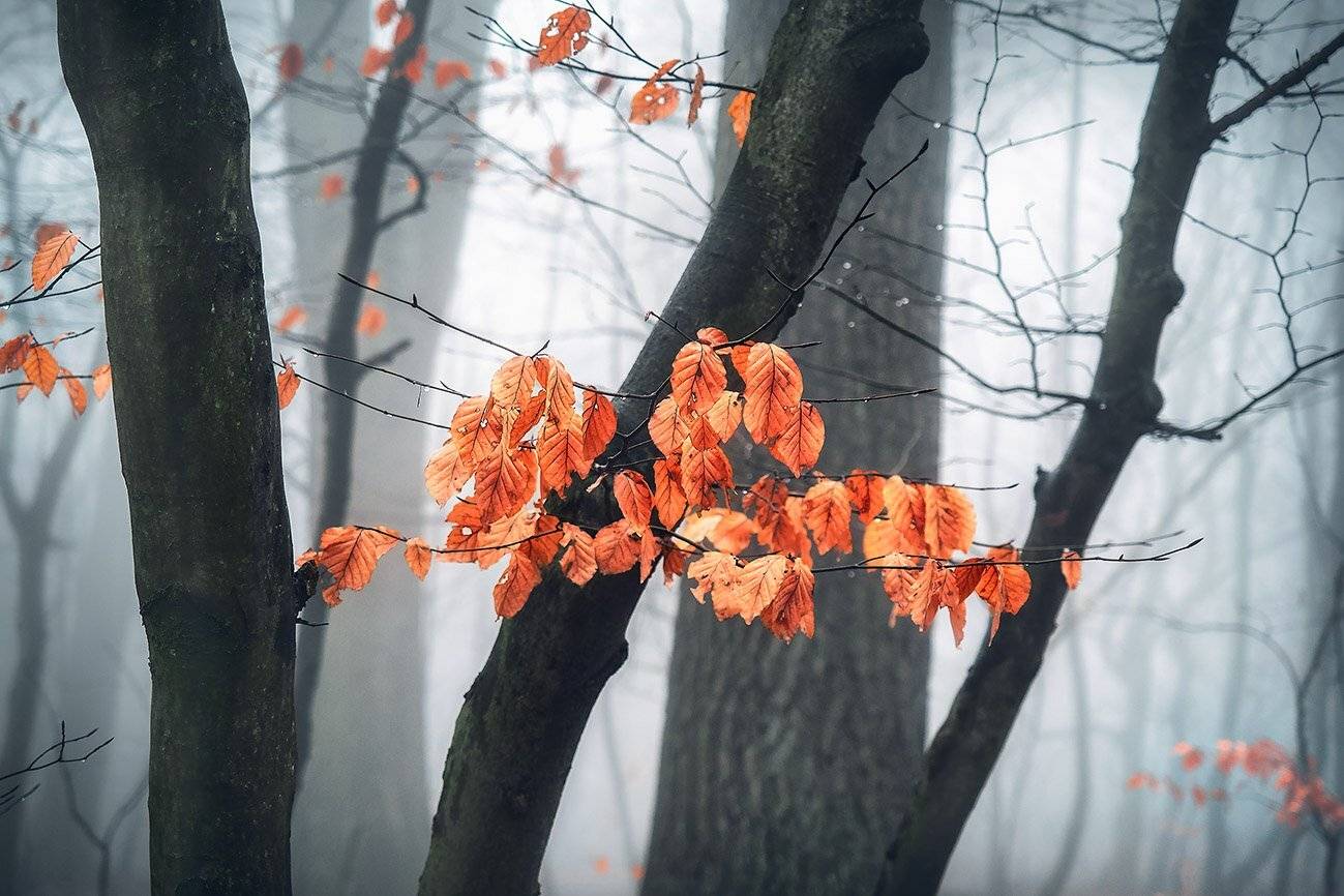 южный, урал, долгие горы, орск, новотроицк башкирия талкас, Качурин Алексей